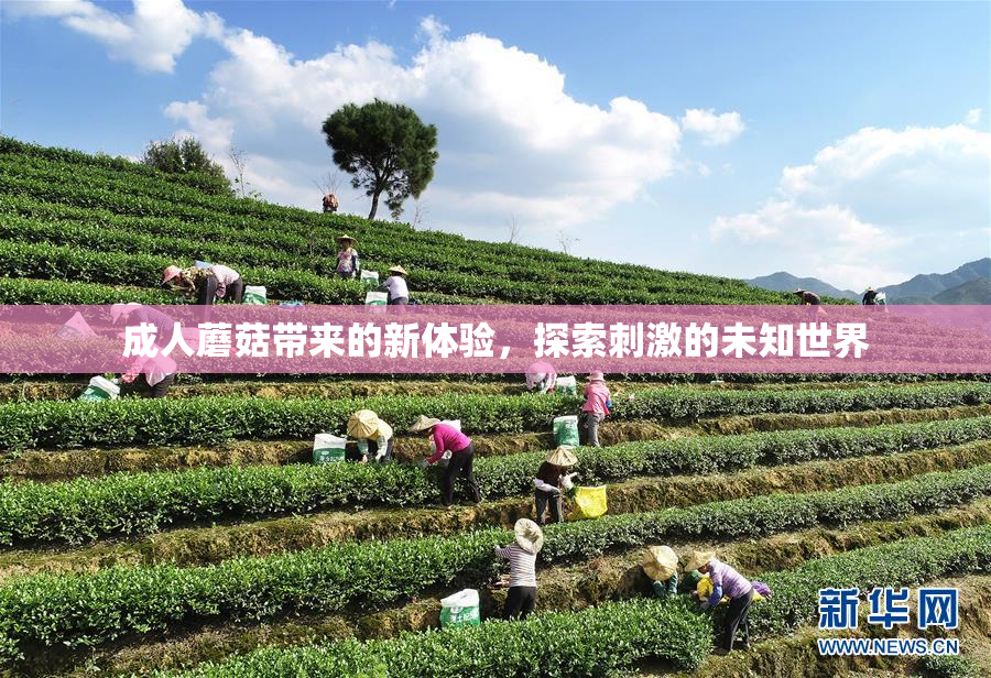 成人蘑菇带来的新体验，探索刺激的未知世界