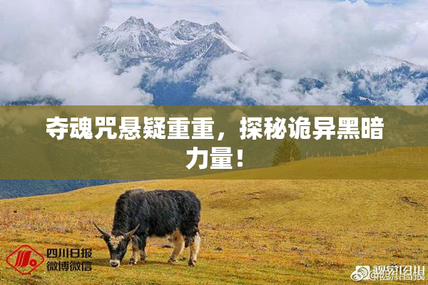 夺魂咒悬疑重重，探秘诡异黑暗力量！