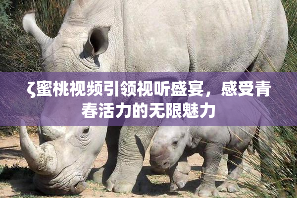 ζ蜜桃视频引领视听盛宴，感受青春活力的无限魅力