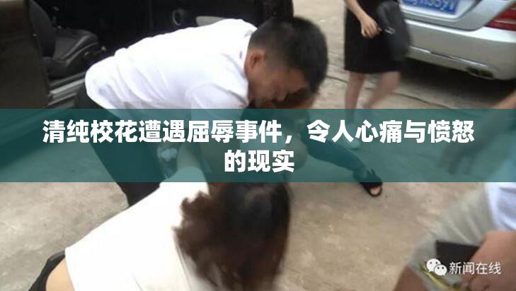 清纯校花遭遇屈辱事件，令人心痛与愤怒的现实