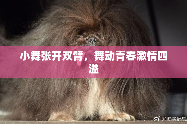 小舞张开双臂，舞动青春激情四溢