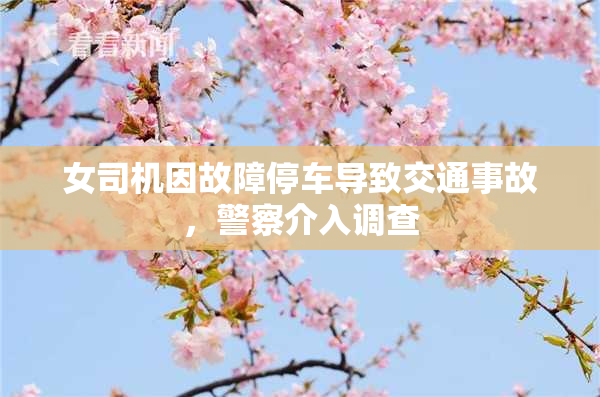 女司机因故障停车导致交通事故，警察介入调查