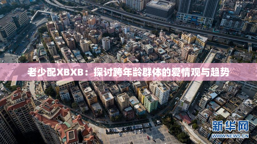 老少配XBXB：探讨跨年龄群体的爱情观与趋势