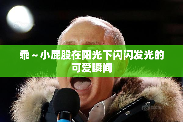 乖～小屁股在阳光下闪闪发光的可爱瞬间