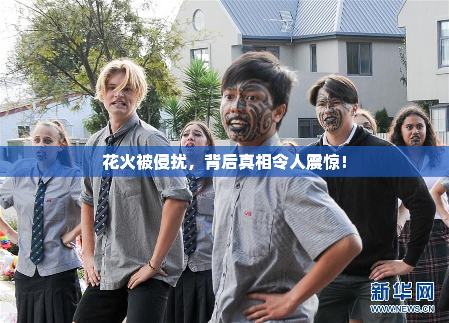 花火被侵扰，背后真相令人震惊！