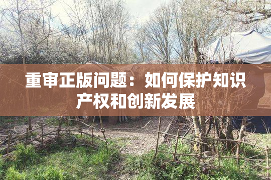 重审正版问题：如何保护知识产权和创新发展