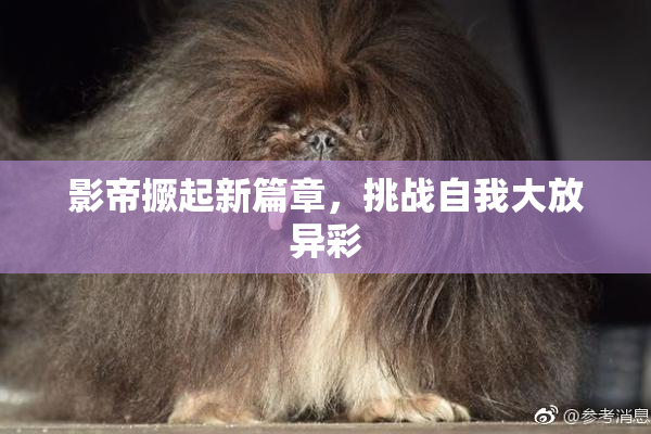 影帝撅起新篇章，挑战自我大放异彩