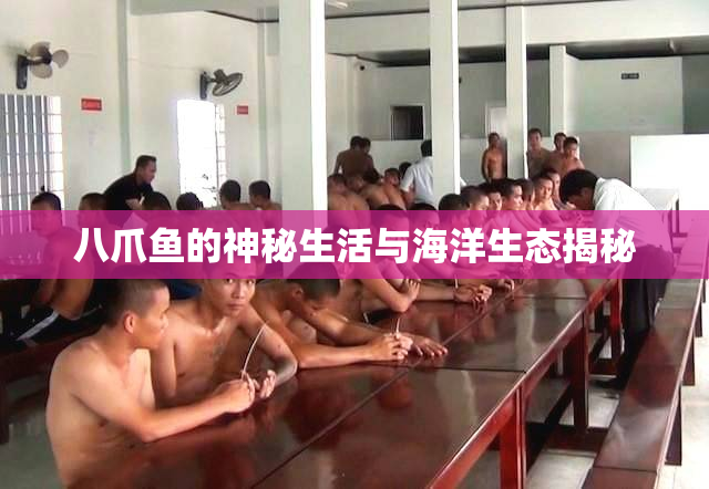 八爪鱼的神秘生活与海洋生态揭秘