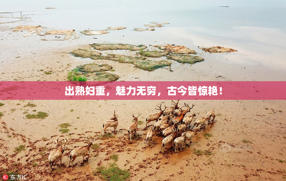 出熟妇重，魅力无穷，古今皆惊艳！