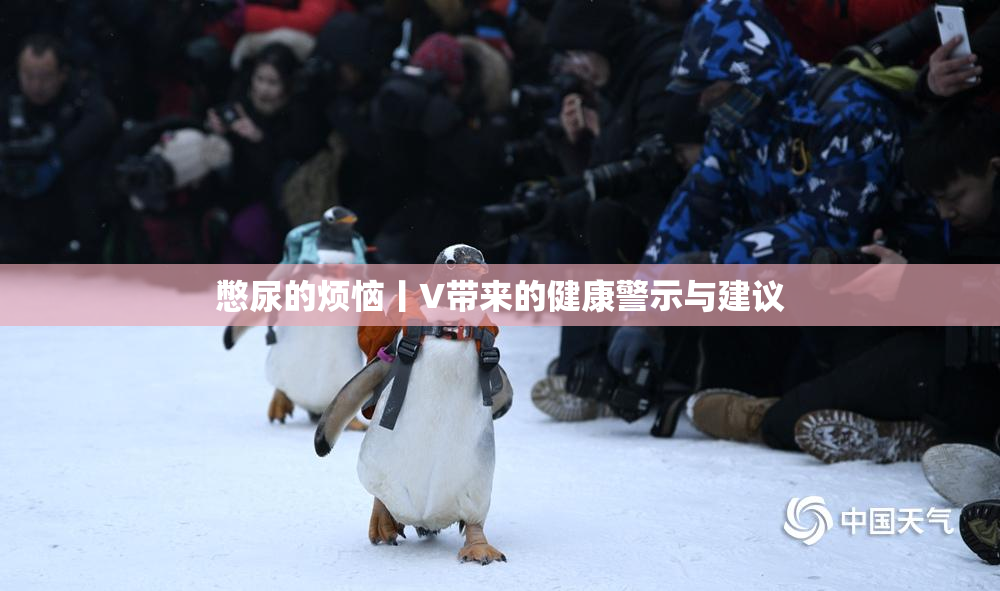 憋尿的烦恼丨V带来的健康警示与建议