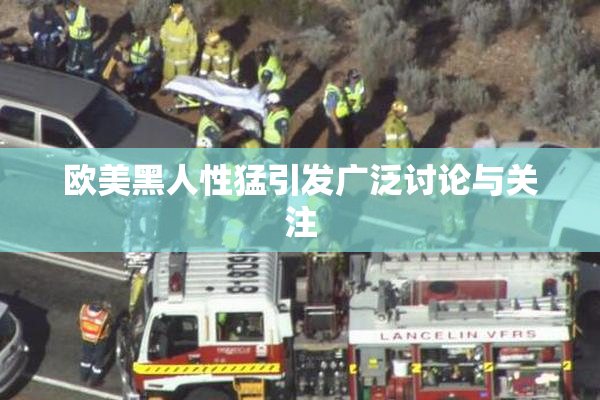 欧美黑人性猛引发广泛讨论与关注
