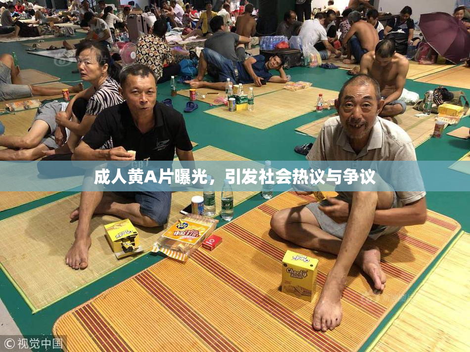 成人黄A片曝光，引发社会热议与争议
