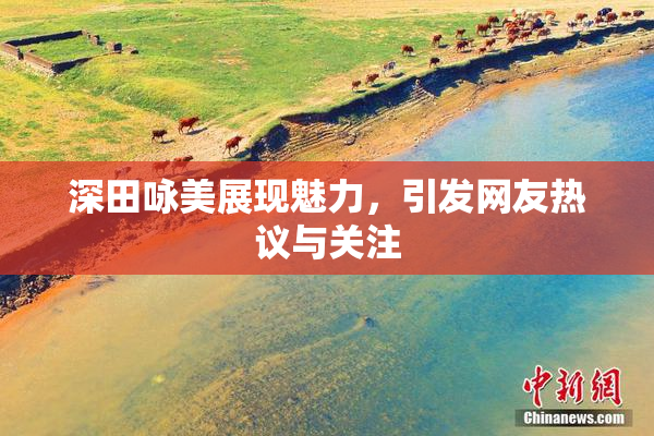 深田咏美展现魅力，引发网友热议与关注