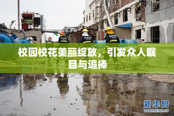 校园校花美丽绽放，引发众人瞩目与追捧
