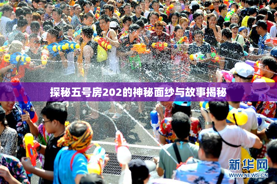 探秘五号房202的神秘面纱与故事揭秘