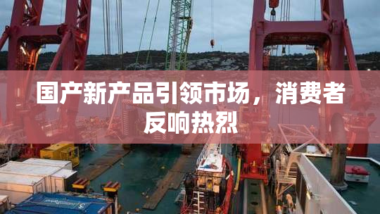 国产新产品引领市场，消费者反响热烈