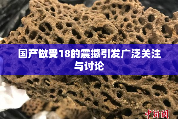 国产做受18的震撼引发广泛关注与讨论