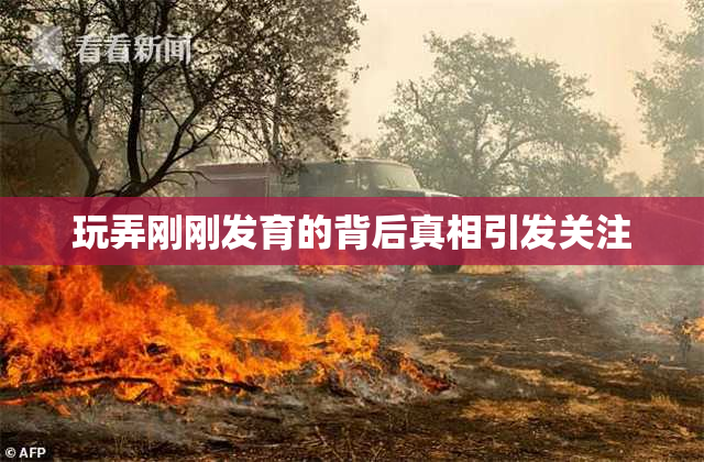 玩弄刚刚发育的背后真相引发关注