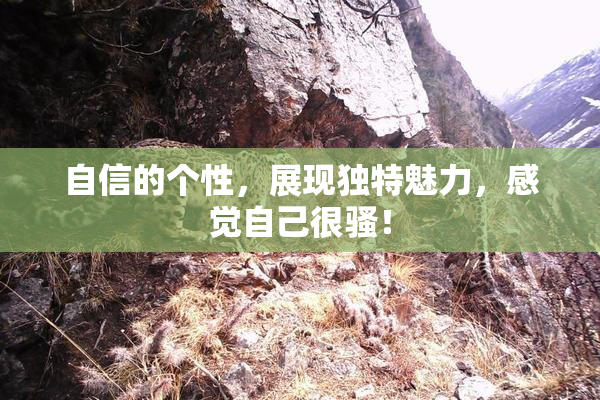 自信的个性，展现独特魅力，感觉自己很骚！