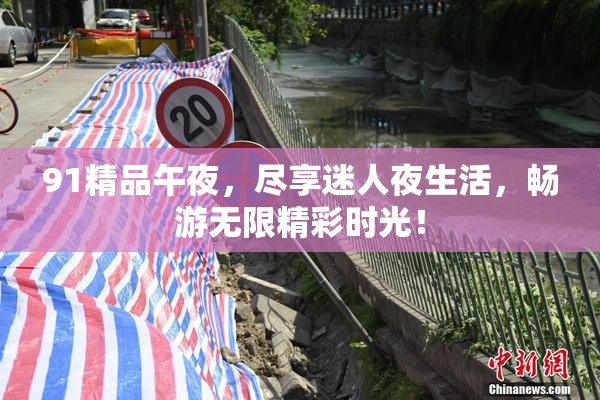 91精品午夜，尽享迷人夜生活，畅游无限精彩时光！