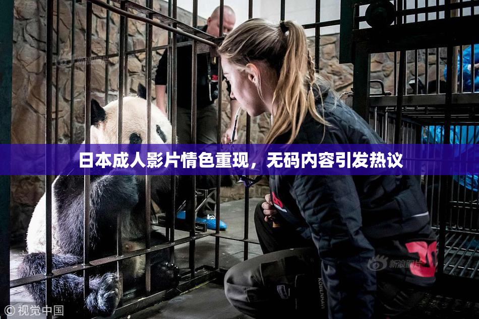 日本成人影片情色重现，无码内容引发热议