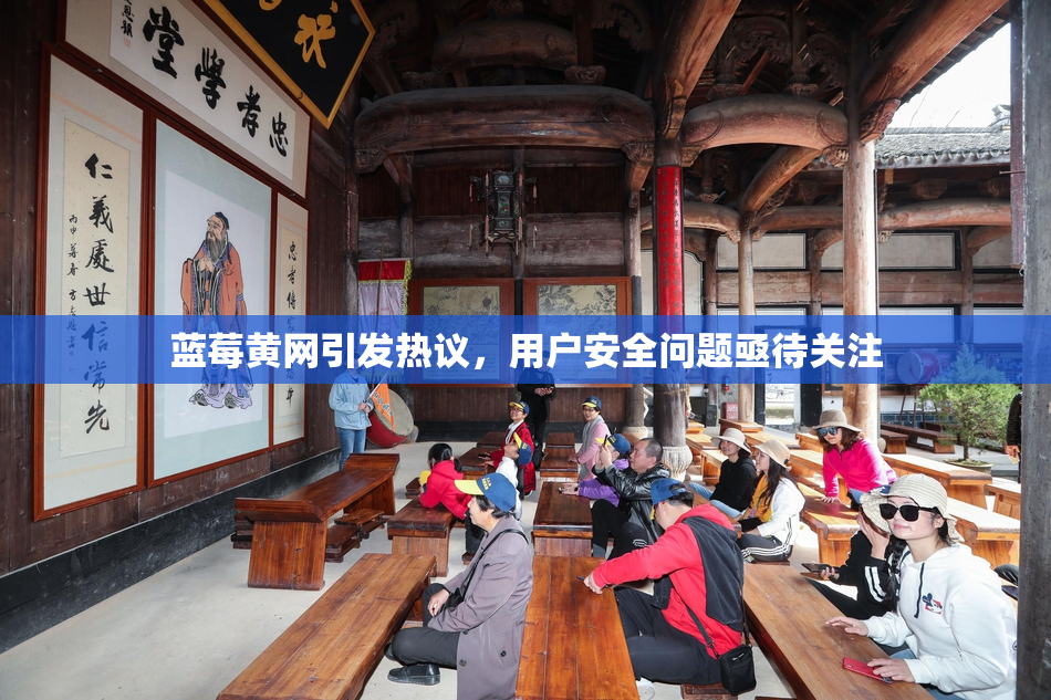 蓝莓黄网引发热议，用户安全问题亟待关注