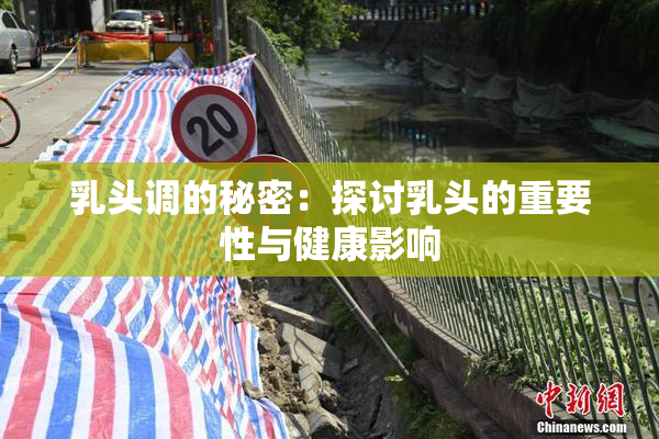 乳头调的秘密：探讨乳头的重要性与健康影响