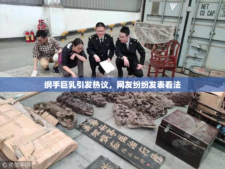 纲手巨乳引发热议，网友纷纷发表看法