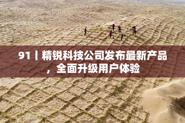 91丨精锐科技公司发布最新产品，全面升级用户体验