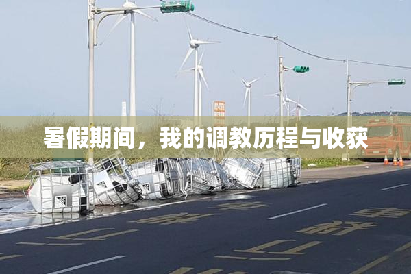 暑假期间，我的调教历程与收获