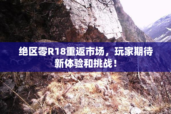 绝区零R18重返市场，玩家期待新体验和挑战！