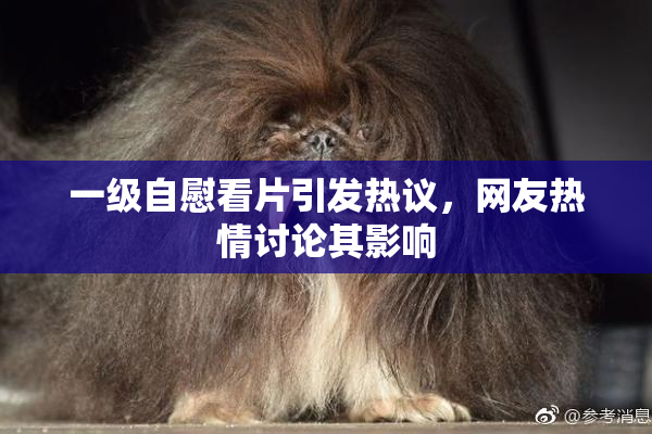 一级自慰看片引发热议，网友热情讨论其影响