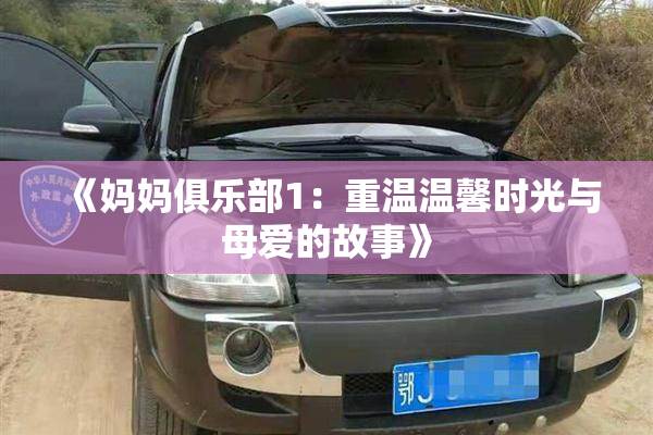 《妈妈俱乐部1：重温温馨时光与母爱的故事》