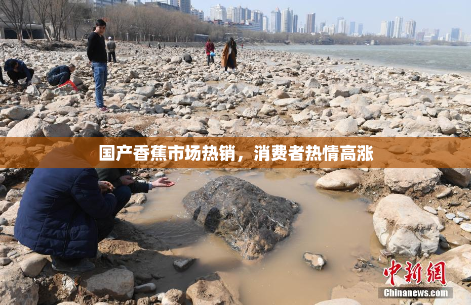 国产香蕉市场热销，消费者热情高涨