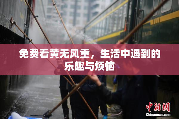 免费看黄无风重，生活中遇到的乐趣与烦恼