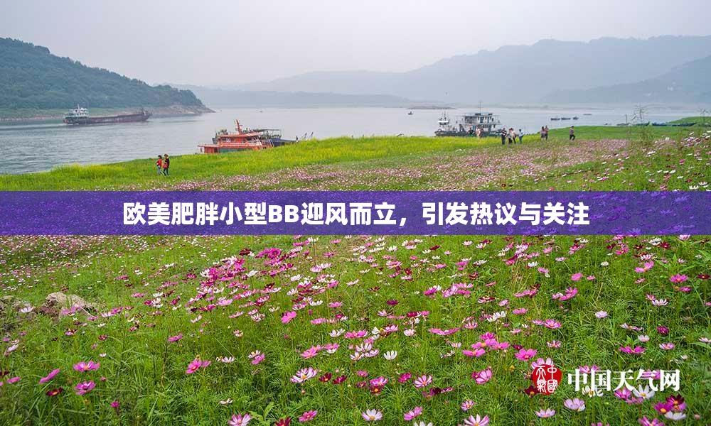 欧美肥胖小型BB迎风而立，引发热议与关注