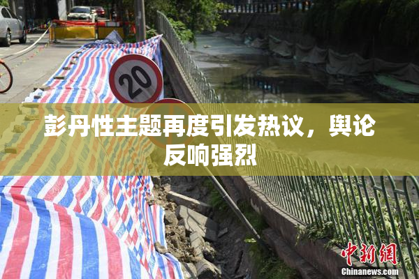 彭丹性主题再度引发热议，舆论反响强烈