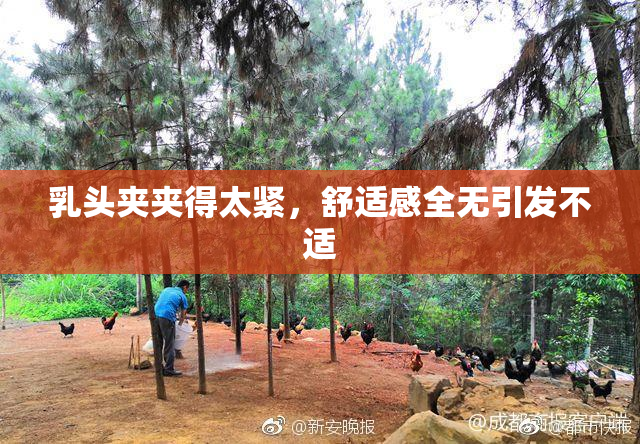 乳头夹夹得太紧，舒适感全无引发不适