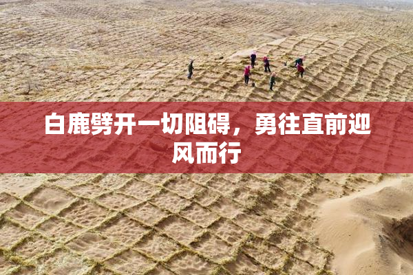白鹿劈开一切阻碍，勇往直前迎风而行