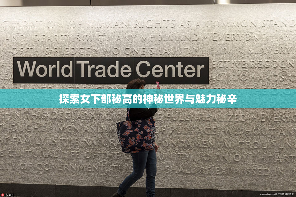 探索女下部秘高的神秘世界与魅力秘辛
