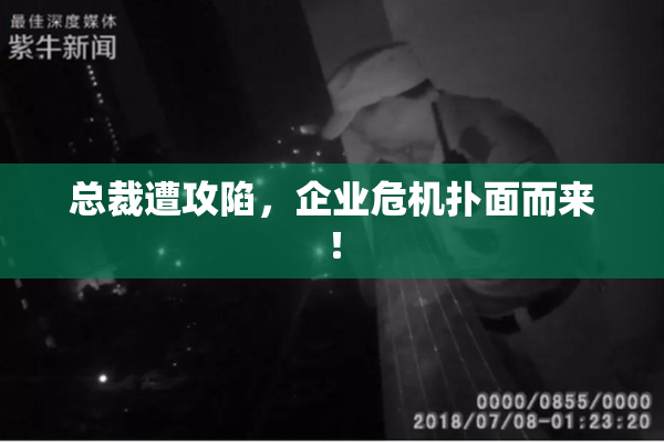 总裁遭攻陷，企业危机扑面而来！
