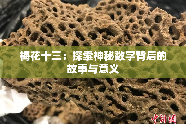 梅花十三：探索神秘数字背后的故事与意义