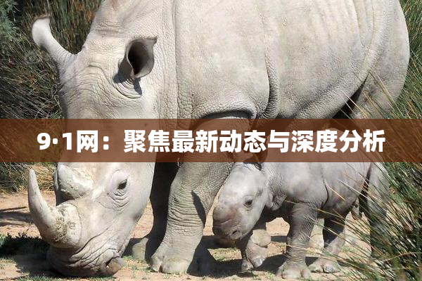 9·1网：聚焦最新动态与深度分析