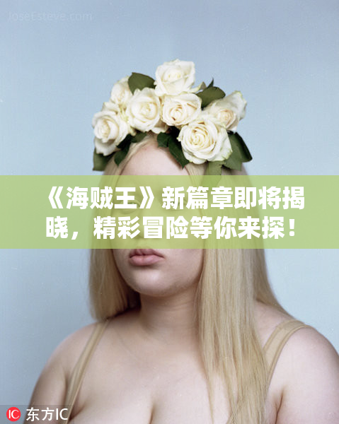 《海贼王》新篇章即将揭晓，精彩冒险等你来探！