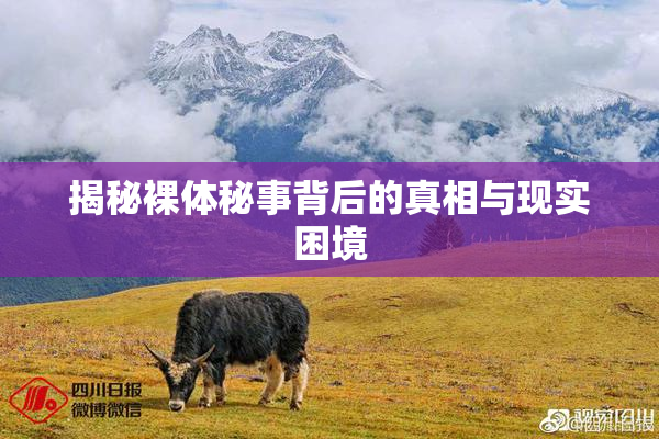 揭秘裸体秘事背后的真相与现实困境