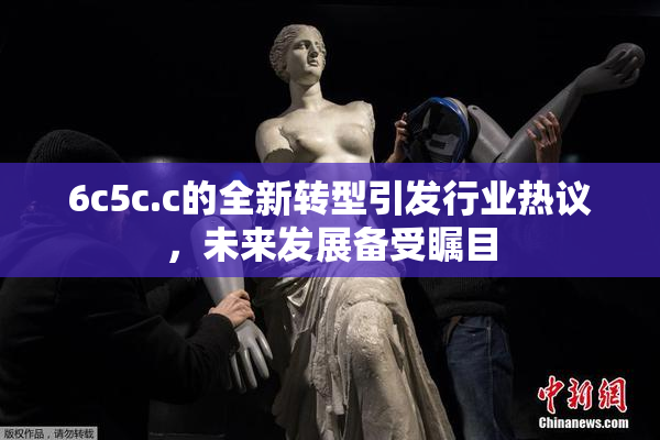 6c5c.c的全新转型引发行业热议，未来发展备受瞩目