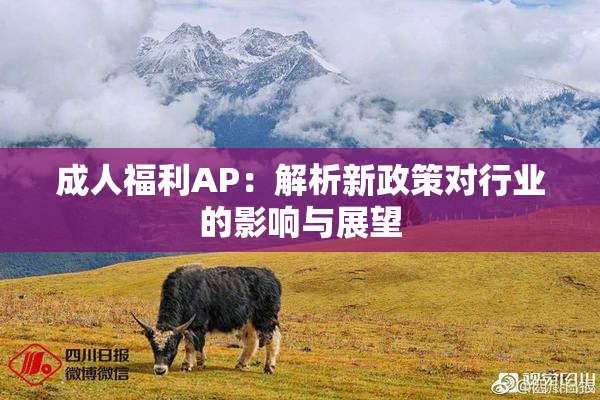 成人福利AP：解析新政策对行业的影响与展望