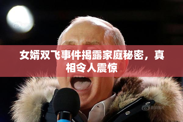 女婿双飞事件揭露家庭秘密，真相令人震惊