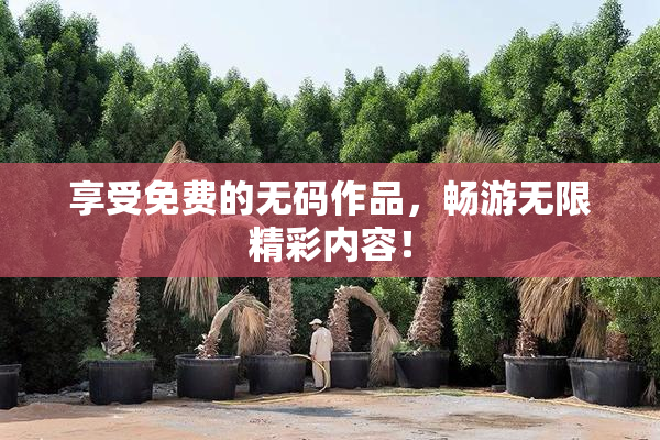 享受免费的无码作品，畅游无限精彩内容！