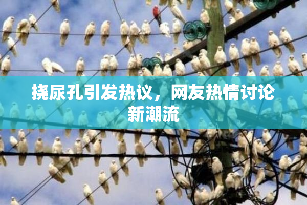 挠尿孔引发热议，网友热情讨论新潮流